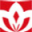 红棉股份